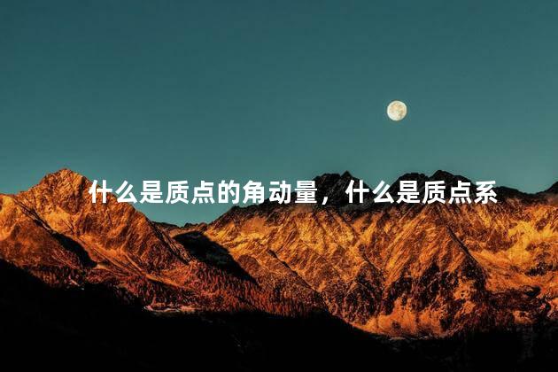 什么是质点的角动量，什么是质点系