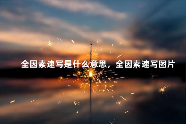 全因素速写是什么意思，全因素速写图片
