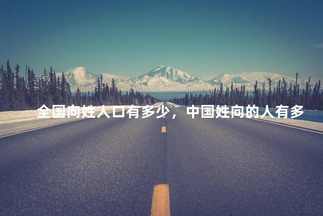 全国向姓人口有多少，中国姓向的人有多少