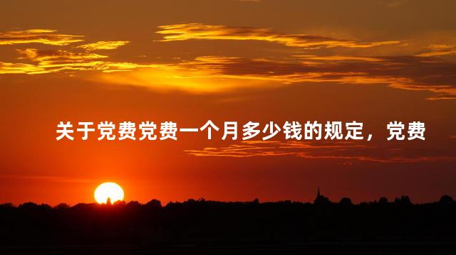 关于党费党费一个月多少钱的规定，党费一个月是多少钱