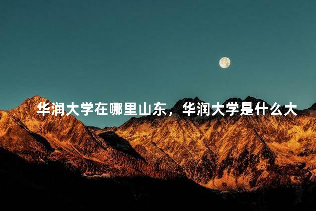 华润大学在哪里山东，华润大学是什么大学