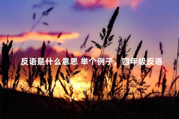 反语是什么意思 举个例子，四年级反语是什么意思