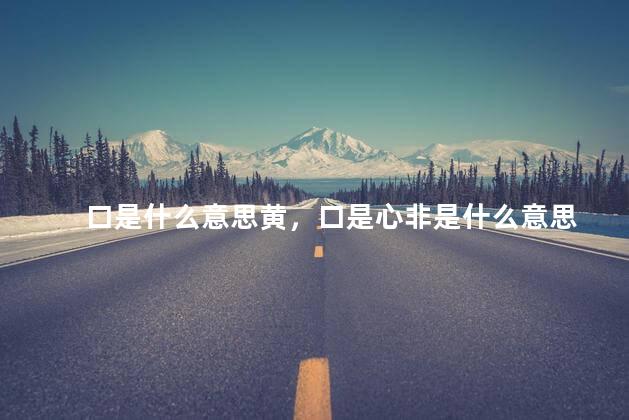 口是什么意思黄，口是心非是什么意思