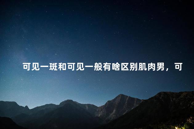 可见一斑和可见一般有啥区别肌肉男，可见一斑和可见一般有啥区别吗