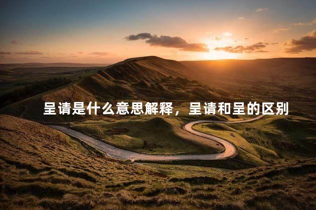 呈请是什么意思解释，呈请和呈的区别