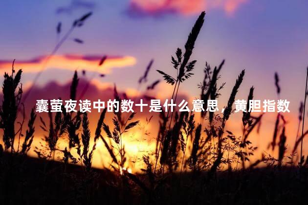 囊萤夜读中的数十是什么意思，黄胆指数十是什么意思