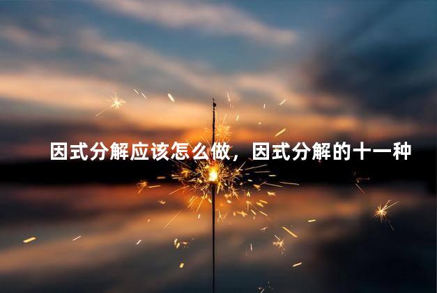 因式分解应该怎么做，因式分解的十一种方法