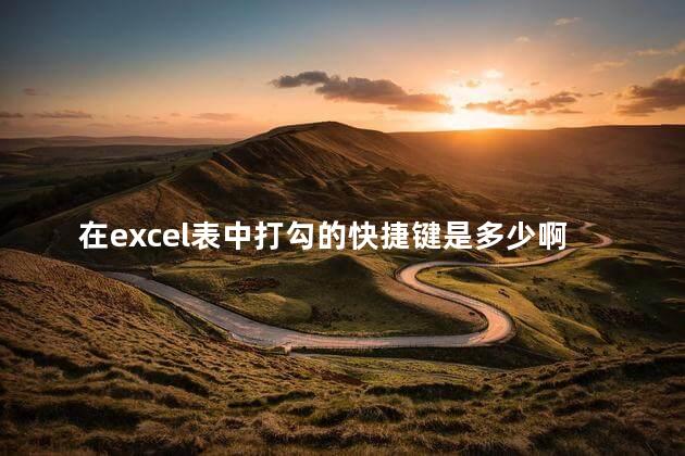 在excel表中打勾的快捷键是多少啊，excel表里打勾快捷键