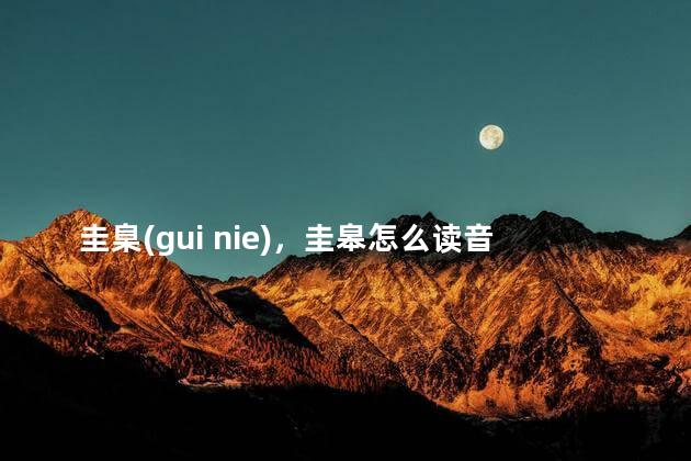 圭臬(gui nie)，圭皋怎么读音是什么意思