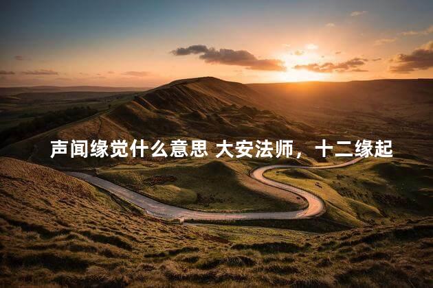 声闻缘觉什么意思 大安法师，十二缘起背诵口诀