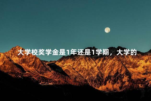 大学校奖学金是1年还是1学期，大学的奖学金分几等