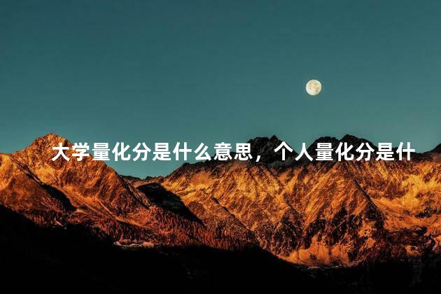 大学量化分是什么意思，个人量化分是什么意思