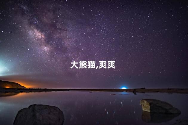 大熊猫,爽爽