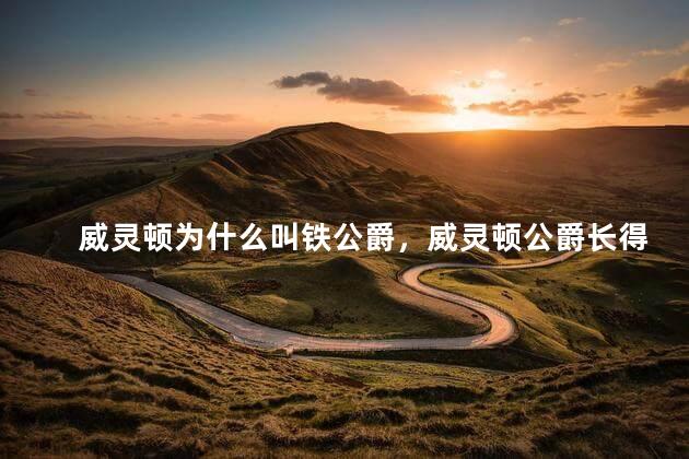威灵顿为什么叫铁公爵，威灵顿公爵长得帅