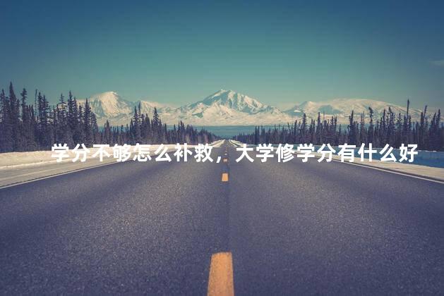 学分不够怎么补救，大学修学分有什么好处