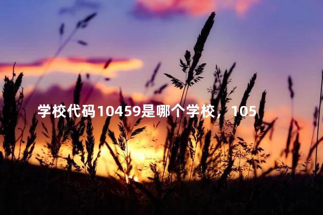 学校代码10459是哪个学校，10574学校代码是哪所