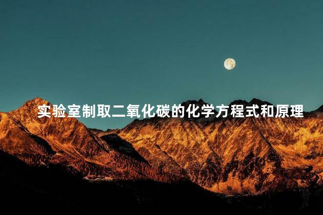 实验室制取二氧化碳的化学方程式和原理是什么，实验室制取二氧化碳的化学方程式和原理图