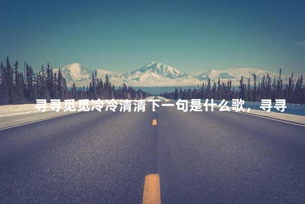 寻寻觅觅冷冷清清下一句是什么歌，寻寻觅觅 冷冷清清什么意思