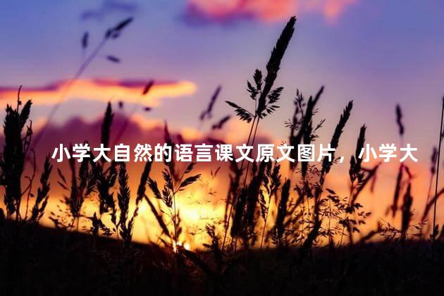 小学大自然的语言课文原文图片，小学大自然的语言课文原文及拼音