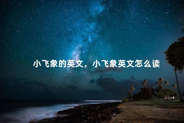 小飞象的英文，小飞象英文怎么读