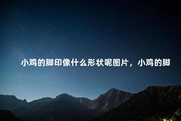 小鸡的脚印像什么形状呢图片，小鸡的脚印像什么形状呢一年级