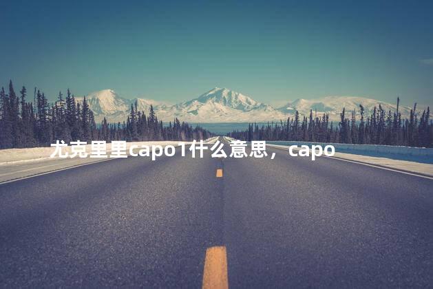 尤克里里capo1什么意思，capo2尤克里里