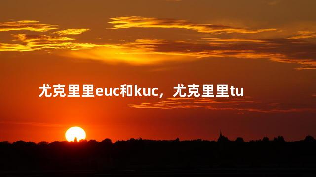 尤克里里euc和kuc，尤克里里tuc和tus