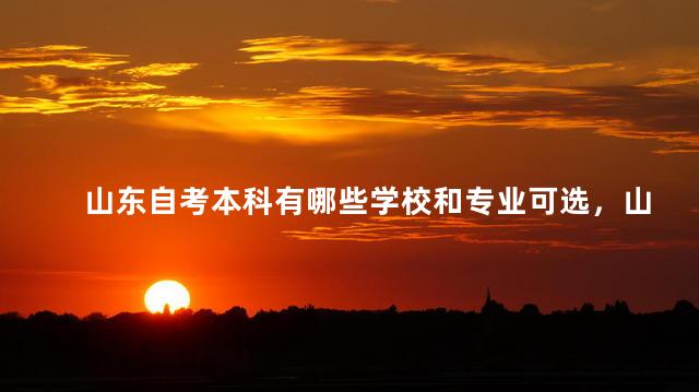 山东自考本科有哪些学校和专业可选，山东自考本科有哪些学校和专业可以报