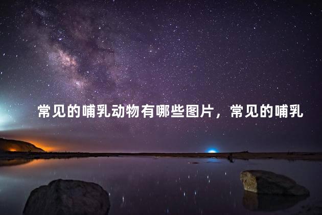 常见的哺乳动物有哪些图片，常见的哺乳动物有哪些？并说明与爬行类动物的区别？