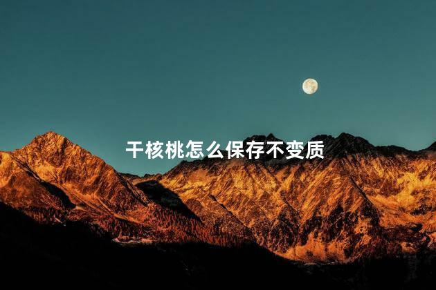 干核桃怎么保存不变质