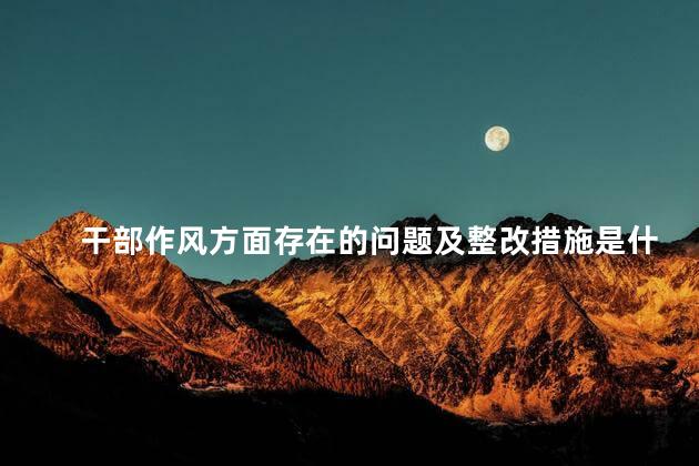 干部作风方面存在的问题及整改措施是什么意思，干部作风方面存在的问题及整改措施是什么内容