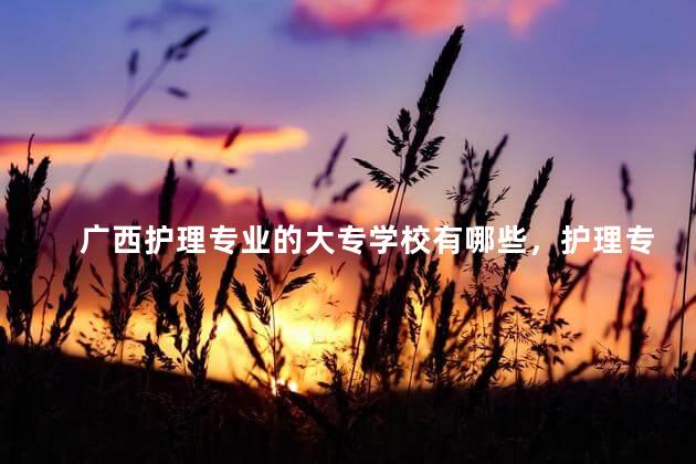 广西护理专业的大专学校有哪些，护理专业的大专学校有哪些