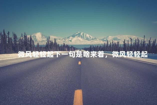 微风轻轻起下一句是啥来着，微风轻轻起 我好喜欢你