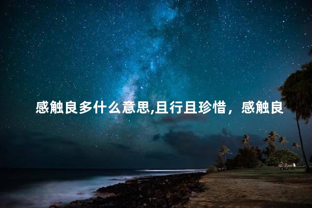 感触良多什么意思,且行且珍惜，感触良多？