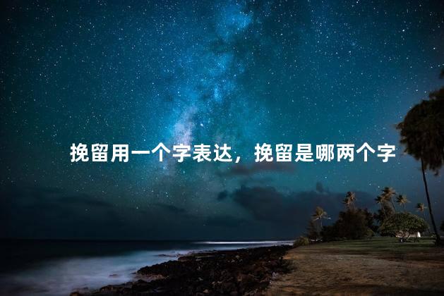 挽留用一个字表达，挽留是哪两个字