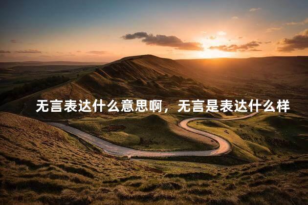 无言表达什么意思啊，无言是表达什么样的情感