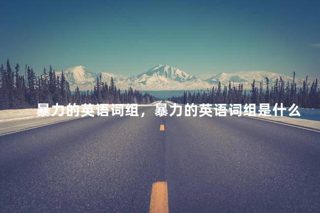 暴力的英语词组，暴力的英语词组是什么