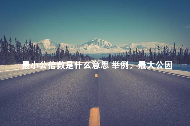 最小公倍数是什么意思 举例，最大公因数是什么意思