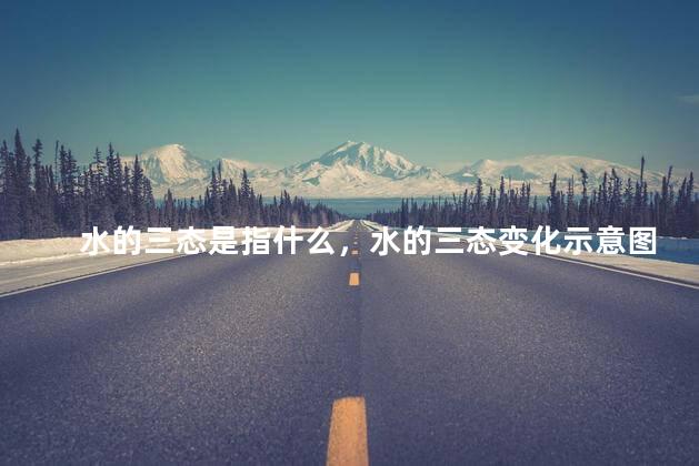 水的三态是指什么，水的三态变化示意图