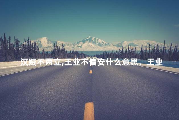汉贼不两立,王业不偏安什么意思，王业不偏安两表于今悬日月臣言当尽瘁六军长此驻风云