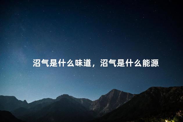 沼气是什么味道，沼气是什么能源