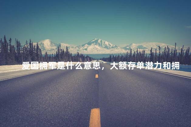 爱国拥军是什么意思，大额存单潜力和拥军是什么意思