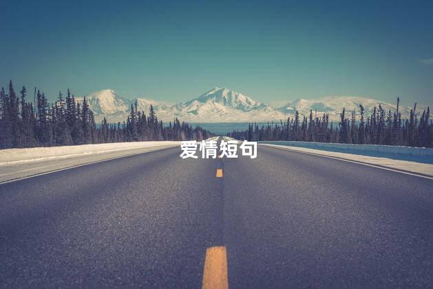 爱情短句