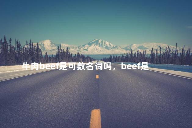 牛肉beef是可数名词吗，beef是可数名词吗还是不可数名词