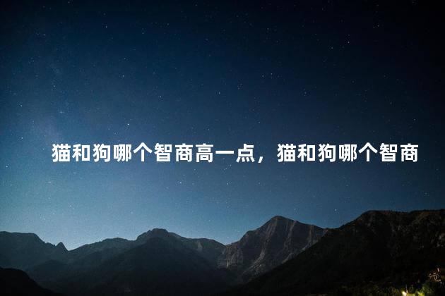 猫和狗哪个智商高一点，猫和狗哪个智商更高
