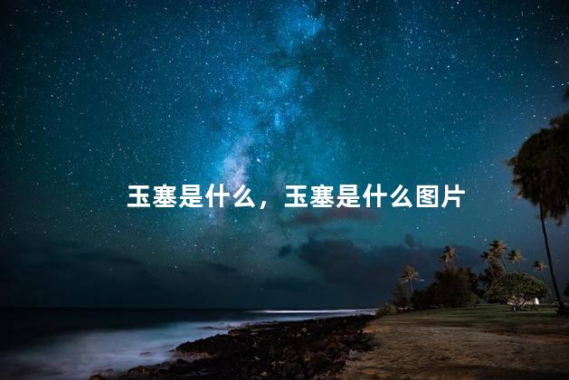 玉塞是什么，玉塞是什么图片