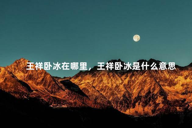王祥卧冰在哪里，王祥卧冰是什么意思