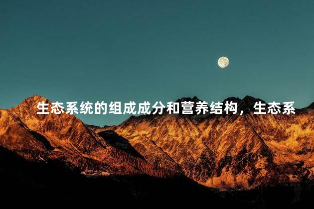 生态系统的组成成分和营养结构，生态系统的组成成分概念图
