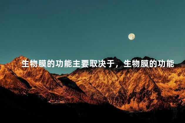 生物膜的功能主要取决于，生物膜的功能有哪些