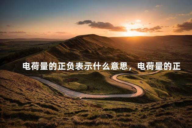 电荷量的正负表示什么意思，电荷量的正负表示什么意义